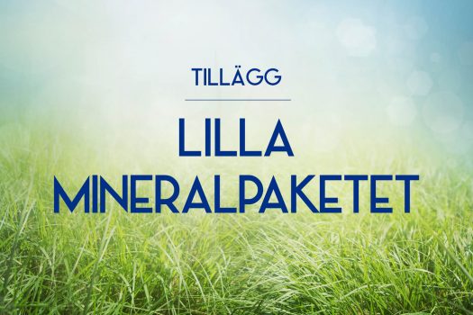 Tillägg Lilla Mineralpaketet