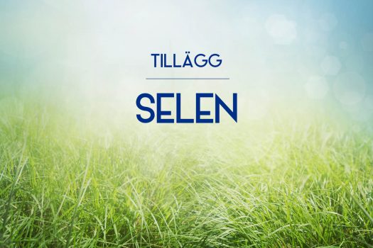 Tillägg Selen