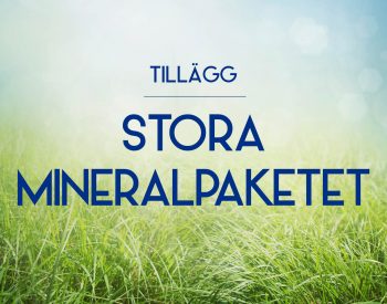 Tillägg Stora Mineralpaketet